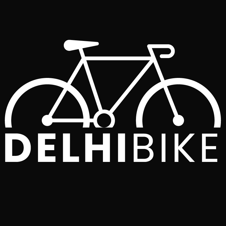 logo de la marca DelhiBike